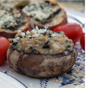 Evergreen Mushrooms